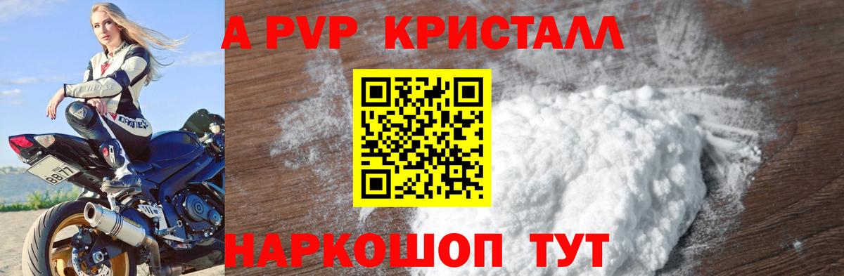 Альфа ПВП СК КРИС Губкин