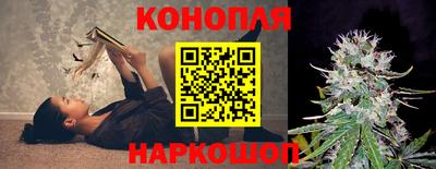 мдпв Нальчик