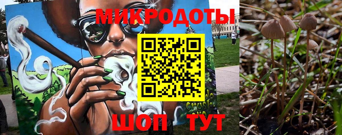Галлюциногенные грибы GOLDEN TEACHER  Псилоцибиновые грибы Psilocybine cubensis  Вход с VPN  Губкин 