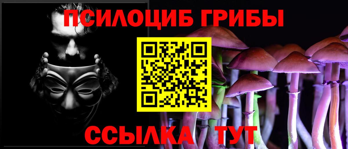 Псилоцибиновые грибы Psilocybe  Губкин 